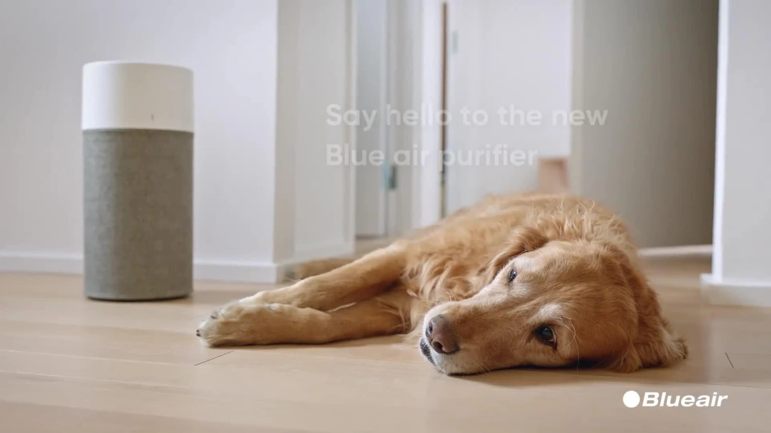 Blueair Blue 3210 Air Purifier 17m2 - Image 7